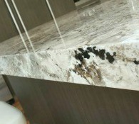 granite benchtop granite benchtop